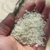 برنج وچای کالابرگ