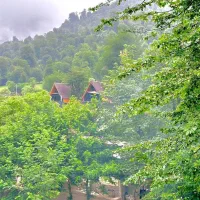 اجاره کلبه سوئیسی، استخر دار، جکوزی دار،جنگلی