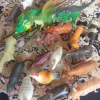 اسباب بازی و سرگرمی