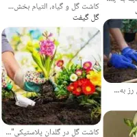 خدمات کاشت گل وتمیز کاری باغچه