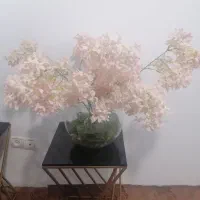 سه شاخه گل یاس
