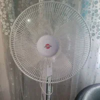 پنکه