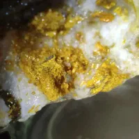 سنگ طلا با خلوص و عیار بالا گلد این کوارتز