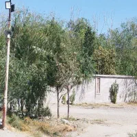 زمین باغی 5000متر چناران