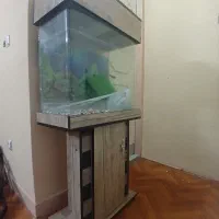 اکواریم