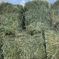 یونجه علفی انباری