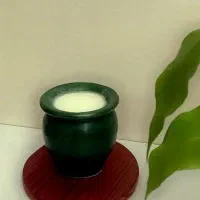 ماست محلی ماست چکیده محلی دوغ محلی خانگی