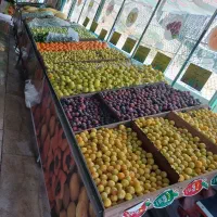 پالت میوه تره بار