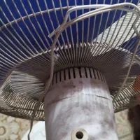 پنکه