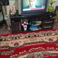 تلویزیون
