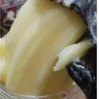 روغن گوسفندی