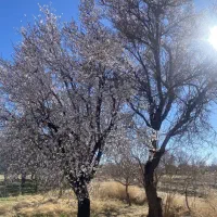 آب-و-زمین-کشاورزی-قبل-از-سرو-بعداز-تنگ-چنار