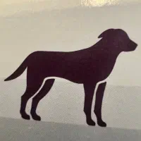 تریلوستان ۱۰