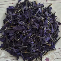 گل گاو زبان