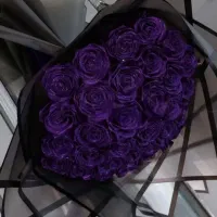 فول شاین روبانی