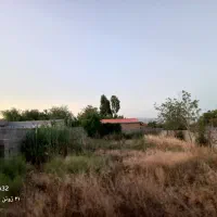 فروش زمین باغی