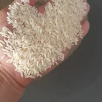 برنج علی کاظمی محصول شمال