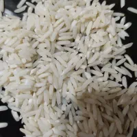 فروش برنج هاشمی مرغوب