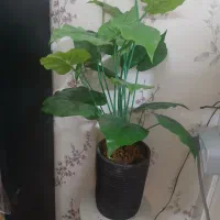 گل مصنوعی