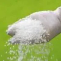 ۲۰ عدد اوره