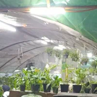 نمایندگی کود برای اولین بار در تایباد