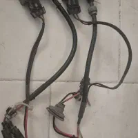 زنون