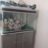 آکواریوم ماهی