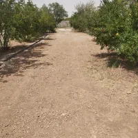 2500متر-باغچه-ویلایی-اندیس-هندس