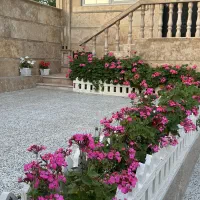 سویت اجاره ای کوتاه مدت