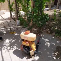 سم پاش مزرعه