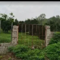 با ۲۵۰ میلیون زمین بخر/مازندران