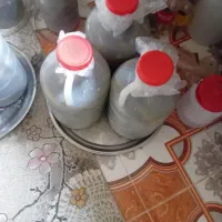 خیار شور تازه