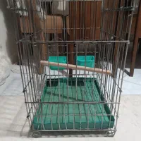 قفس پرنده