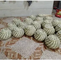 حصیربافی جنوب
