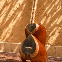 تار حرفه ای