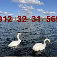 خط  569 31 32 0912