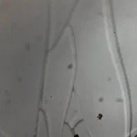 سولات ایین نامه