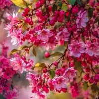 طراحی برچسب با عکس و سلیقه شما
