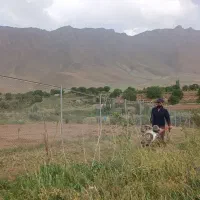 تیلر باغات و زمین کشاورزی حرفه ای