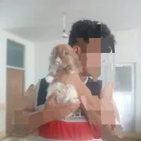 خرگوش