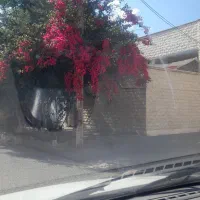 نیازمند خانم مجردجوان برای انجام امور منزل