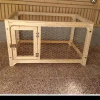 جوجه|حیوانات مزرعه|خمام, |دیوار