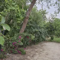 باغ زمین ۵۰۰ متری کنتور دار کردان تهراندشت سرخاب