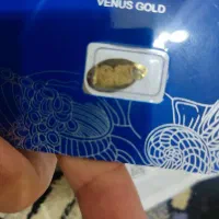 همینطورتوتصویرمیبینید