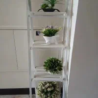 اسنتد گل