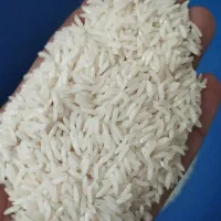 برنج هاشمی