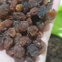 کشمش گله آفتابی (درگز وکاشمر)(خرما و خمیر خرما)