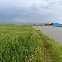 زمین کشاورزی آبی دگرماندرق نمین نزدیک فندقلو