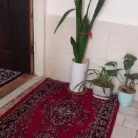 خانه اجاره ای طبقه هم کف