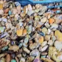 عقیق درهم و سوسنی عمده